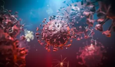 coronavirus3(76)