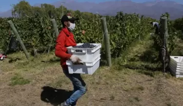 viña2coronavirus(2)