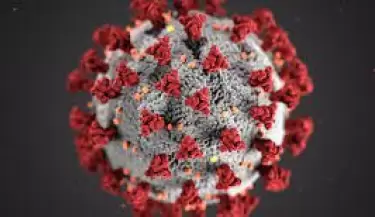 CORONAVIRUS3(14)