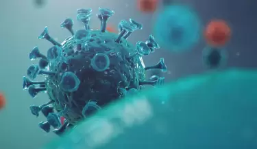 coronavirus5(103)