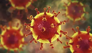 coronavirus1(113)