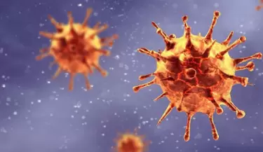 coronavirus4(118)