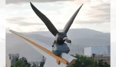 condor(2)