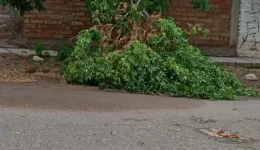 tormentatunuyán(3)