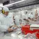 El Gobierno nacional sali� a desmentir que se haya suspendido la exportaci�n de carnes