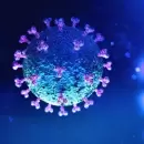 Reportan 77 muertos y 4.690 nuevos contagios de coronavirus en la Argentina