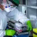 Coronavirus en Mendoza: 130 nuevos casos positivos y 6 muertos