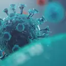 Seis muertos en un d�a por coronavirus, la cifra m�s alta en los �ltimos meses en Mendoza