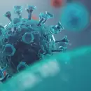 Covid 19: por qué las mutaciones del virus se estancaron en nuevas variantes de Ómicron