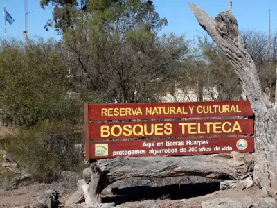 Bosques Telteca(1)