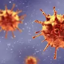 Otras 189 personas murieron y 120.982 se contagiaron con coronavirus en el país