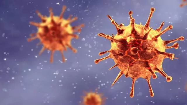 coronavirus4(133)
