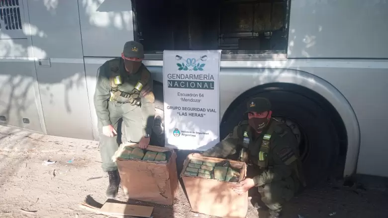 28_kilos_hojas_de_coca-mendoza_3
