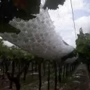 Zona Este - Fotos y Videos. Impactante ca�da de granizo