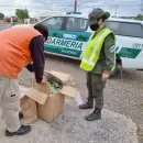 Un colectivo transportaba 56 kilos de hojas de coca a Mendoza