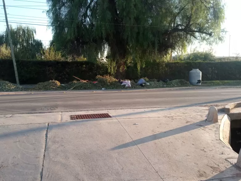 Foto basura Elpidio Gonzalez