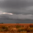 Aseguran que "muchos focos de incendios a�n permanecen activos" en Corrientes