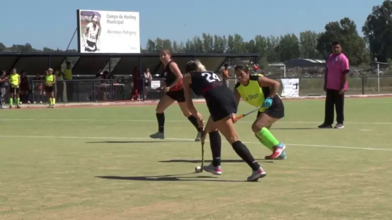 hockey vendimial