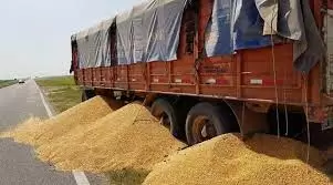 Camiones con cereales