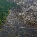 La deforestaci�n de la Amazonia marc� un nuevo r�cord para febrero