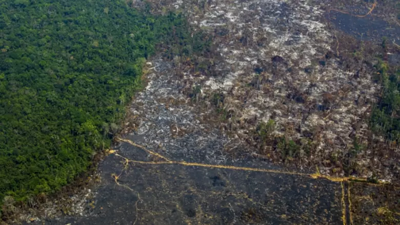 Deforestación Amazonas
