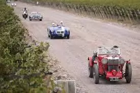 rally de la bodegas