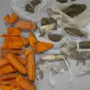 Ingresaban droga al penal de San Rafael dentro de zanahorias