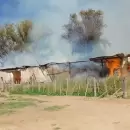 VIDEO: Feroz incendio en un galpn de San Carlos: murieron una perrita y sus cras