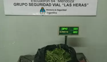 marihuana