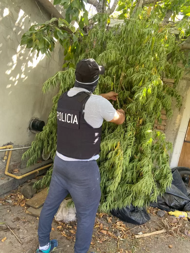 operativo