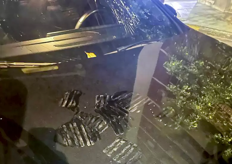 salvio auto