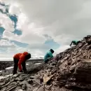 Estudian la vida de los peces del Jursico en la Antrtida