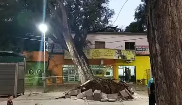 �rbol ca�do por el viento Zonda en Avenida San Mart�n y Coronel Plaza de Ciudad