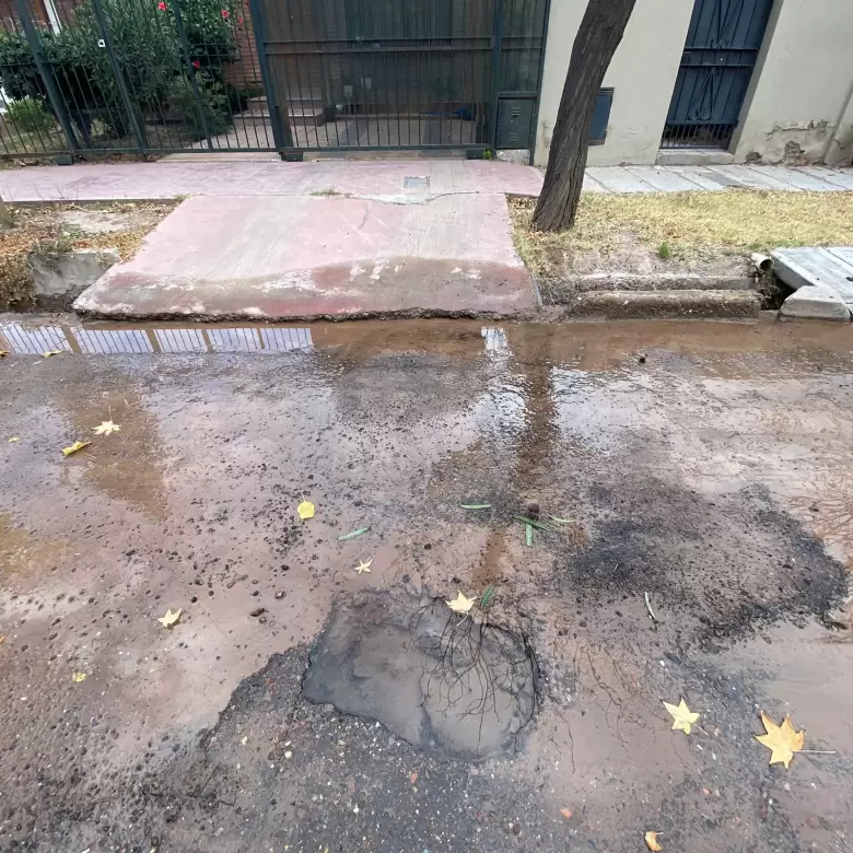 Calle Borges 455 pérdida de agua