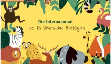d�a internacional de la diversidad biol�gica