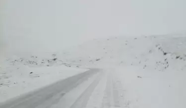 paso pehuenche