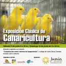 Junín será sede de la exposición clásica de canaricultura