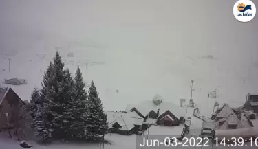 nevada en las le�as
