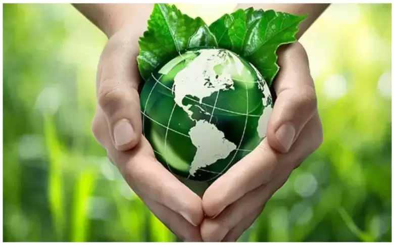 d�a del medio ambiente