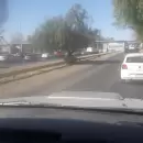 Un cami�n atropell� y mat� a una persona en el Acceso Este