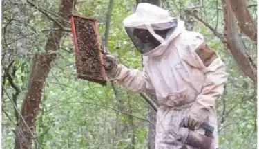 apicultor