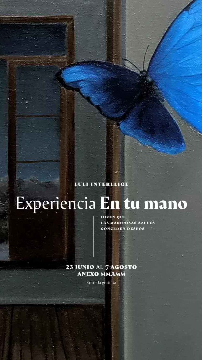 Luly Interllige