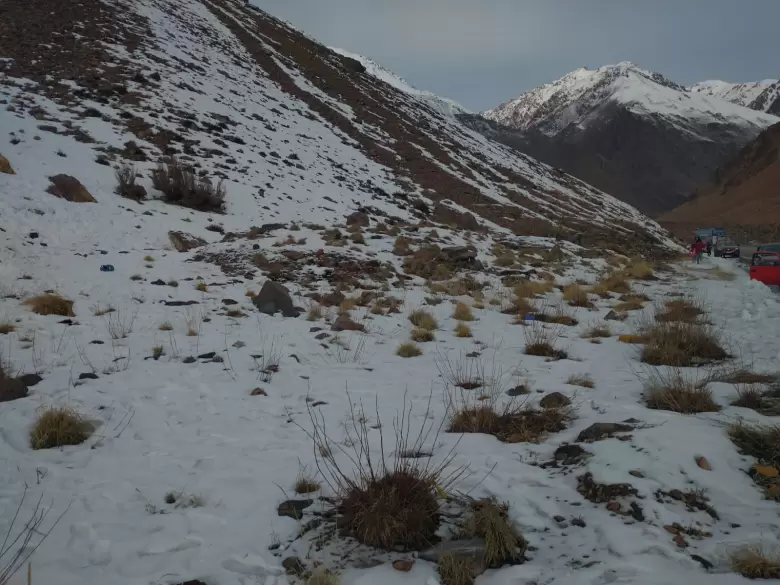 Alta Monta�a