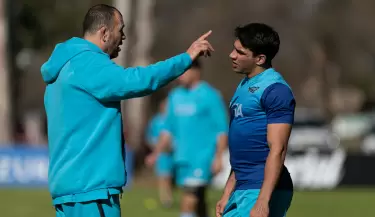 los pumas