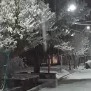 VIDEOS: Nieva en Uspallata y la Ruta 7 se encuentra intransitable