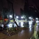 Mucho fro y lluvias en Mendoza