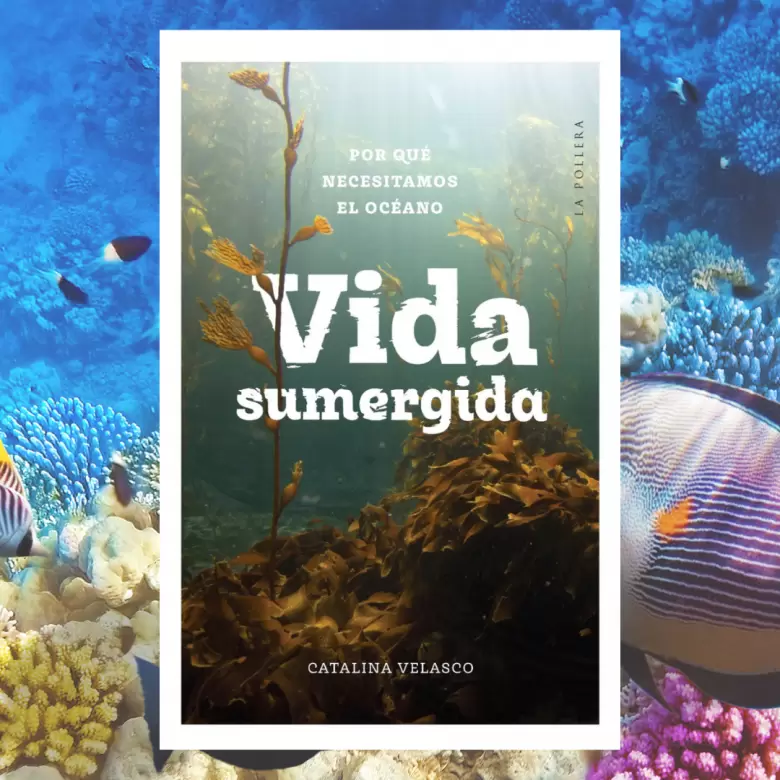 vida sumergida por que necesitamos el oceano-1