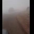Video: La densa niebla complica en tránsito por caminos de San Rafael