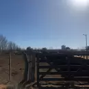 El presidente del Concejo Deliberante de San Rafael se reuni� con productores de animales tras los ataques
