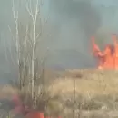 Preocupante cantidad de incendios forestales en General Alvear